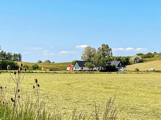 Ferienhaus Glemmingebro Außenaufnahme 8