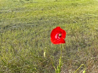 Vakantiehuis Glemmingebro  21