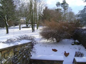 Stenen vakantiehuis omringd door de natuur in Tinlot - Uitgang - image1