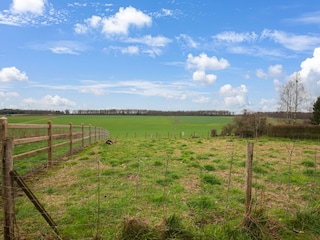 Vakantiehuis Ouffet Omgeving 35