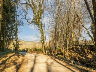 Casa de vacaciones Spa Entorno 32