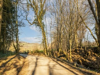 Vakantiehuis Spa Omgeving 36