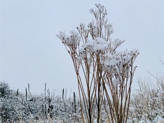 Appartamento per vacanze Cadzand-Bad Ambiente 22