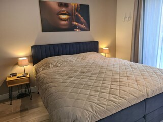 Appartamento per vacanze Cadzand-Bad Caratteristiche 6