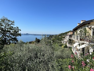 Blick ins Grüne und auf den See