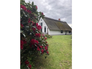 Ferienhaus Grasberg Außenaufnahme 3