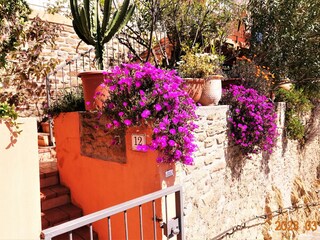 Vakantieappartement Bormes-les-Mimosas Buitenaudio-opname 6