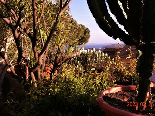 Vakantieappartement Bormes-les-Mimosas Buitenaudio-opname 7