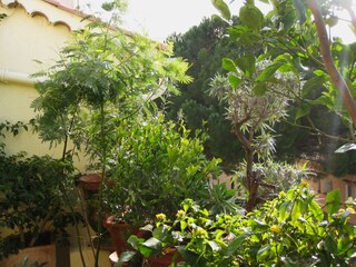 Vakantieappartement Bormes-les-Mimosas Buitenaudio-opname 16