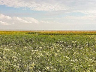 Vakantiehuis Als  46