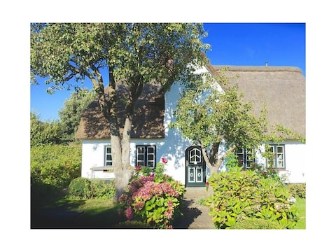 Ferienhaus Petrine`s Hüs