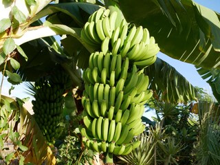 Casa per le vacanze Callao Salvaje Ambiente 24