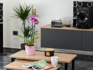 Villa Županići Caratteristiche 10