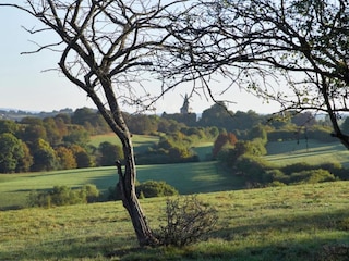 Vakantiehuis Mol Omgeving 29