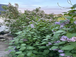 Vakantiehuis Mol Omgeving 36