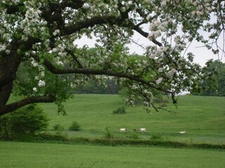 Casa per le vacanze Mol Ambiente 48