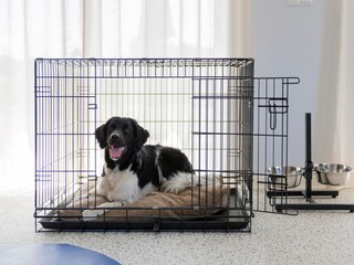 Parc de vacances Nieuwvliet  37