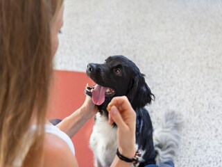 Parc de vacances Nieuwvliet  33