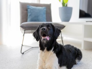 Parc de vacances Nieuwvliet  33