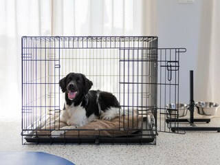 Vakantiepark Nieuwvliet  40