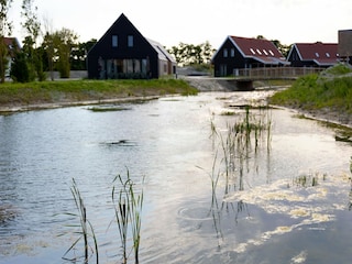 Ferienpark Nieuwvliet Außenaufnahme 5