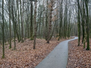 Vakantiehuis Pesse Omgeving 30