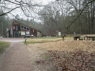 Ferienhaus Pesse Umgebung 31