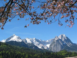 Blick zur Alpspitze und Waxensteine  mit Zugspitze