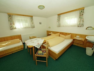 Type de propriété : Chalet Kappl Équipement 10