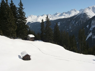 Type de propriété : Chalet Kappl Environnement 25