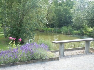 Villa Hamoir Buitenaudio-opname 16
