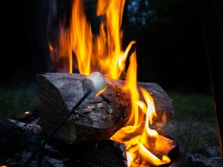 Vakantiehuis Bertogne  39