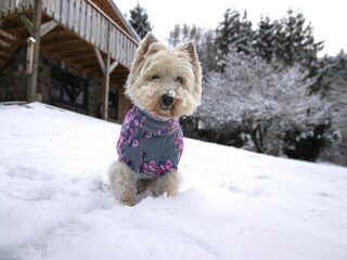 Vakantiehuis Bertogne  40