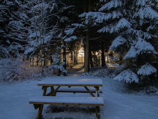 Holiday house Bertogne Outdoor Recording 8