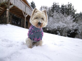 Casa de vacaciones Bertogne  38