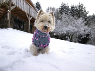 Ferienhaus Bertogne  38