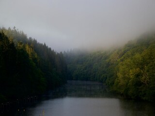 Casa per le vacanze Bertogne Ambiente 34