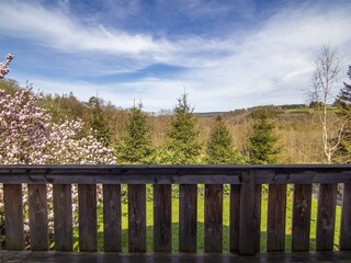 Vakantiehuis Bertogne Buitenaudio-opname 4