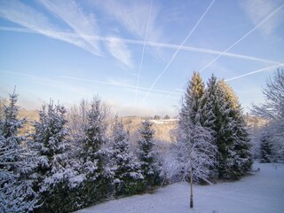 Casa per le vacanze Bertogne Registrazione all'aperto 7