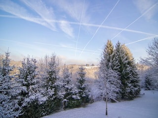 Ferienhaus Bertogne Außenaufnahme 12