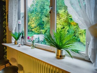Appartamento Willingen  37