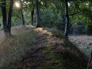 Appartamento Willingen Ambiente 31