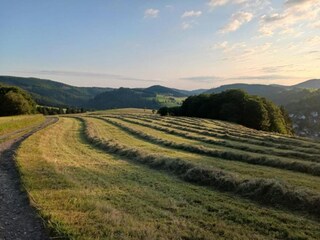 Appartement Willingen Omgeving 13