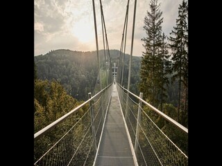 Appartement Willingen Environnement 39