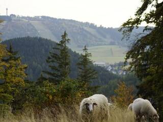 Vakantiehuis Willingen Omgeving 38