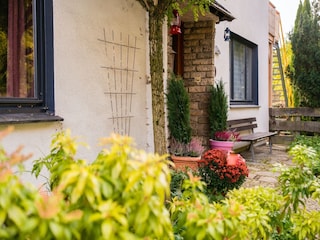 Vakantiehuis Willingen Buitenaudio-opname 6