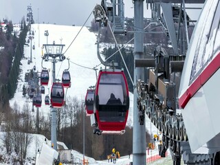 Vakantiehuis Willingen Omgeving 37