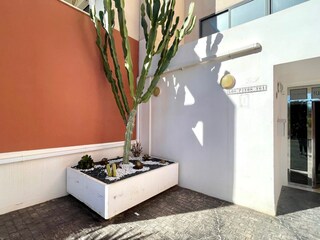 Apartamento Vera Playa Características 29