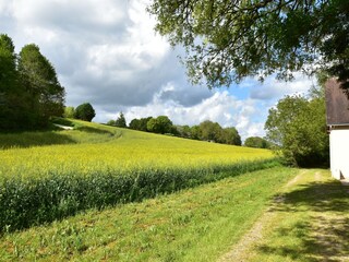 Vakantiehuis Faverolles Omgeving 23