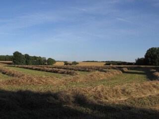 Vakantiehuis Faverolles Omgeving 25